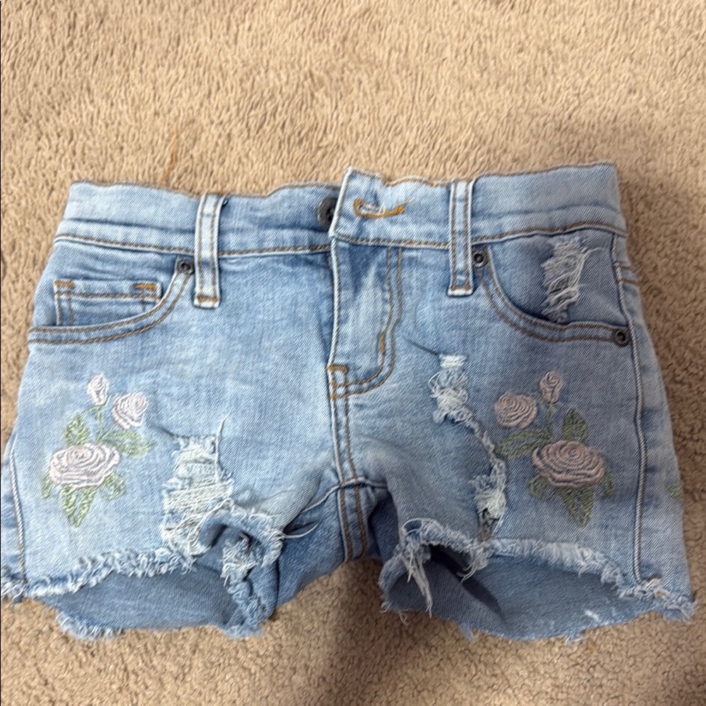 Floral Embroidered Denim Shorts